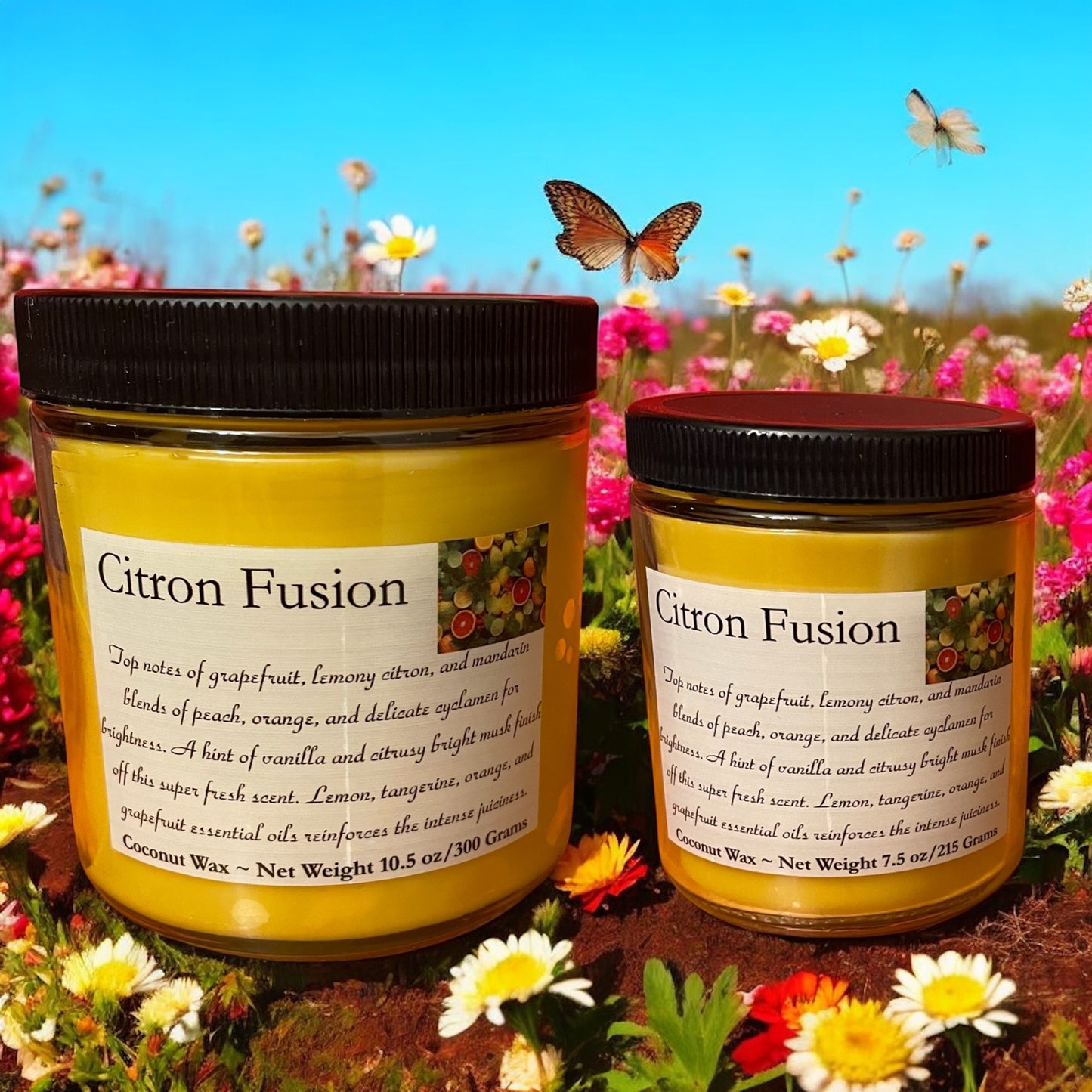 Citron Fusion Scented Candle