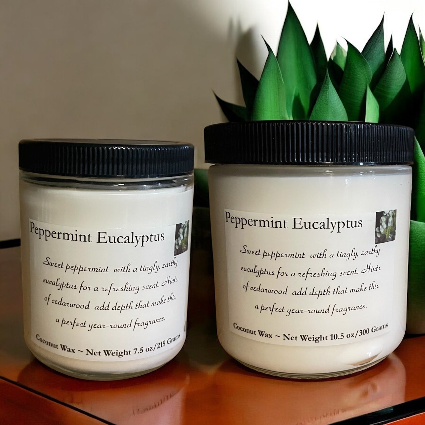 Peppermint Eucalyptus Scented Candle